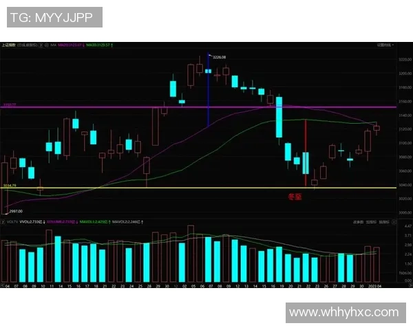 杭州排球队与北京排球队赛后复盘分析比赛节奏与战术对比
